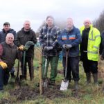 orchard-planting